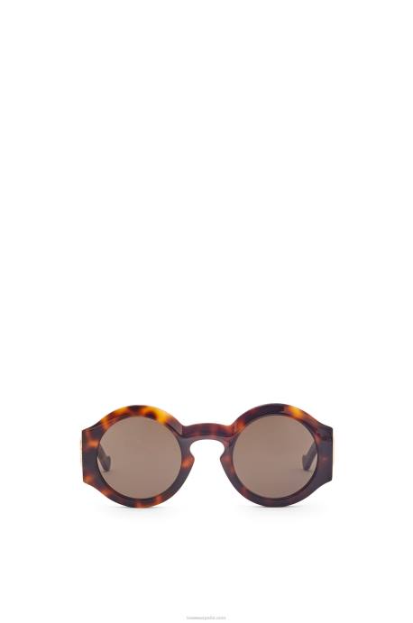 Loewe mujer lentes de sol curvos en acetato LP641444 habana clasica brillante