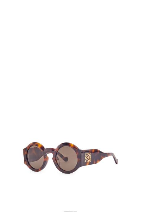 Loewe mujer lentes de sol curvos en acetato LP641444 habana clasica brillante