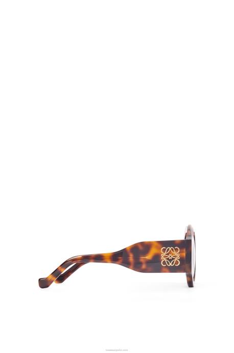 Loewe mujer lentes de sol curvos en acetato LP641444 habana clasica brillante