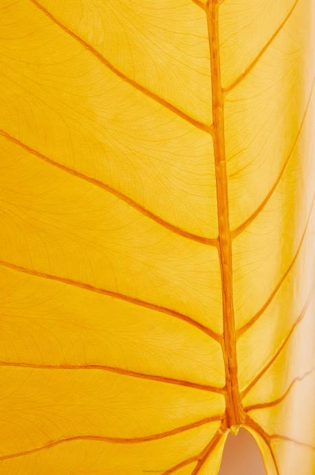 Loewe mujer parte superior de la hoja de alocasia LP64860 naranja brillante