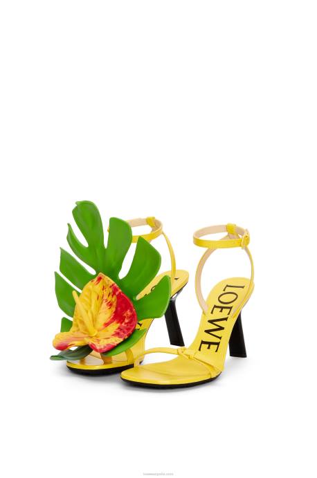 Loewe mujer sandalia pétalo en piel de cordero LP64689 amarillo acacia