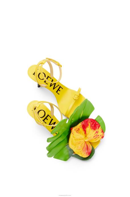 Loewe mujer sandalia pétalo en piel de cordero LP64689 amarillo acacia